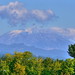 Helen Summers Photo 23