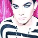Kevin Ha Photo 17