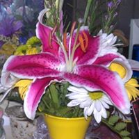 Shelly Allen Photo 25