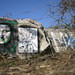 Lisa Crow Photo 19