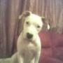 Debbie Spence Photo 31