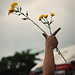Cory Lucas Photo 24