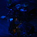 Albert Gallagher Photo 14