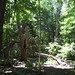 Bruce Skinner Photo 19