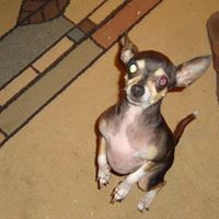 Karen Buck Photo 34