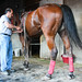 Eddie Adams Photo 38