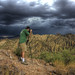 Bryan Quick Photo 7