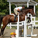 Darcy Hunter Photo 33