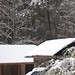 Cindy Snell Photo 38