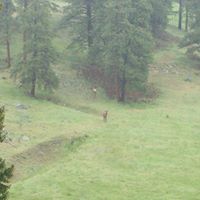 Ginger Meadows Photo 6