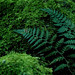 Frances Lusher Photo 7