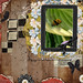 Marie Huff Photo 12