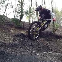 Sean Mallett Photo 7