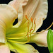 Linda Small Photo 20