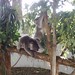 Joey Link Photo 21
