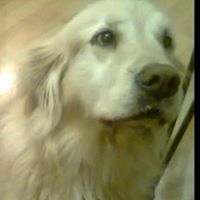 Susan Tufts Photo 25