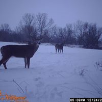James Surber Photo 11