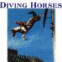 Gayle Doyle Photo 26