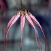 Ann Blom Photo 11