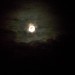 Gary Moon Photo 28