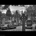 Joseph Sims Photo 22