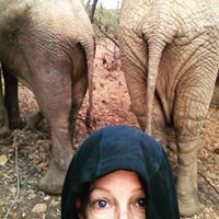 Allison Gross Photo 25