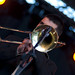 John Correa Photo 15