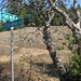 Ross Meyers Photo 25