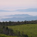 Virginia Rogers Photo 22