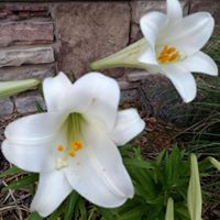 Linda Eck Photo 21