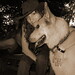 Sarah Shepard Photo 23