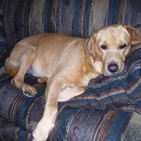 Louise Gustafson Photo 3