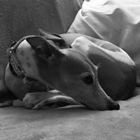 Paula Mchenry Photo 7