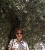 Elizabeth Taylor Photo 26