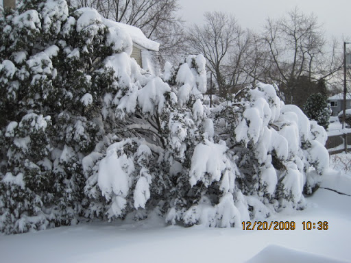 Ellen Meehan Photo 17