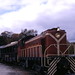Virginia Proctor Photo 14