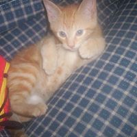 Amy Stovall Photo 2