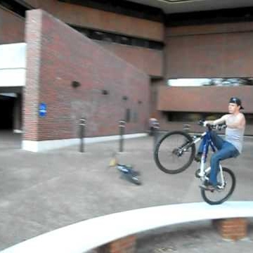 Chad Starkey Photo 5