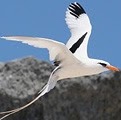 Edmund Robinson Photo 26