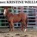 Kristine Williams Photo 23