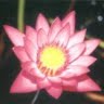 Charles Saunders Photo 21