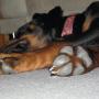 Elizabeth Timmons Photo 7