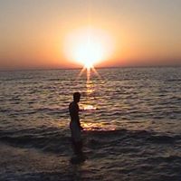 Omid Zamani Photo 21