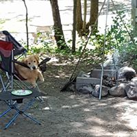 Kelly Shirey Photo 6