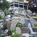 Sally Jacobson Photo 9