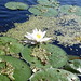 Leonard Pond Photo 6