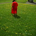 John Downs Photo 15