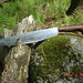 David Farmer Photo 34