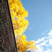 Joshua Cooley Photo 8