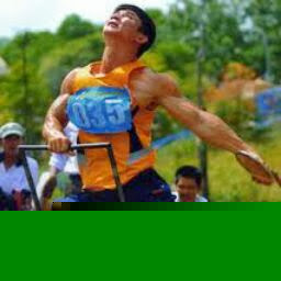 Luan Trinh Photo 5